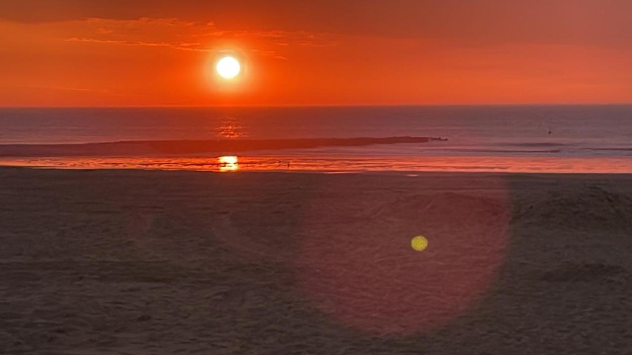 Penthouse On The Belgian Coast With Sea & Landscape Views Lejlighed Wenduine Eksteriør billede
